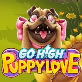 Go High Puppy Love by RubyPlay, showcased at vegasnovacasino.de – game logo